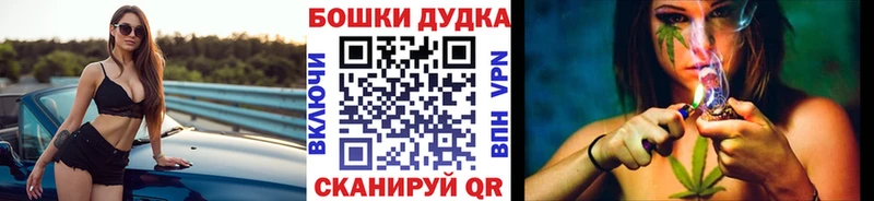 Виды наркотиков купить Пудож ГАШИШ  Кокаин  Мефедрон  Alpha PVP  Конопля 