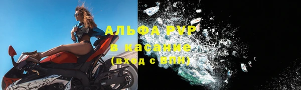 спиды Пестово