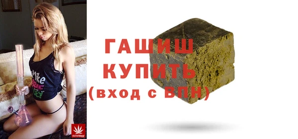 индика Переславль-Залесский