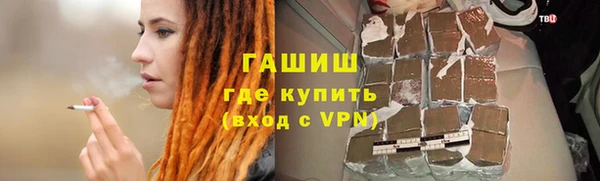 индика Переславль-Залесский